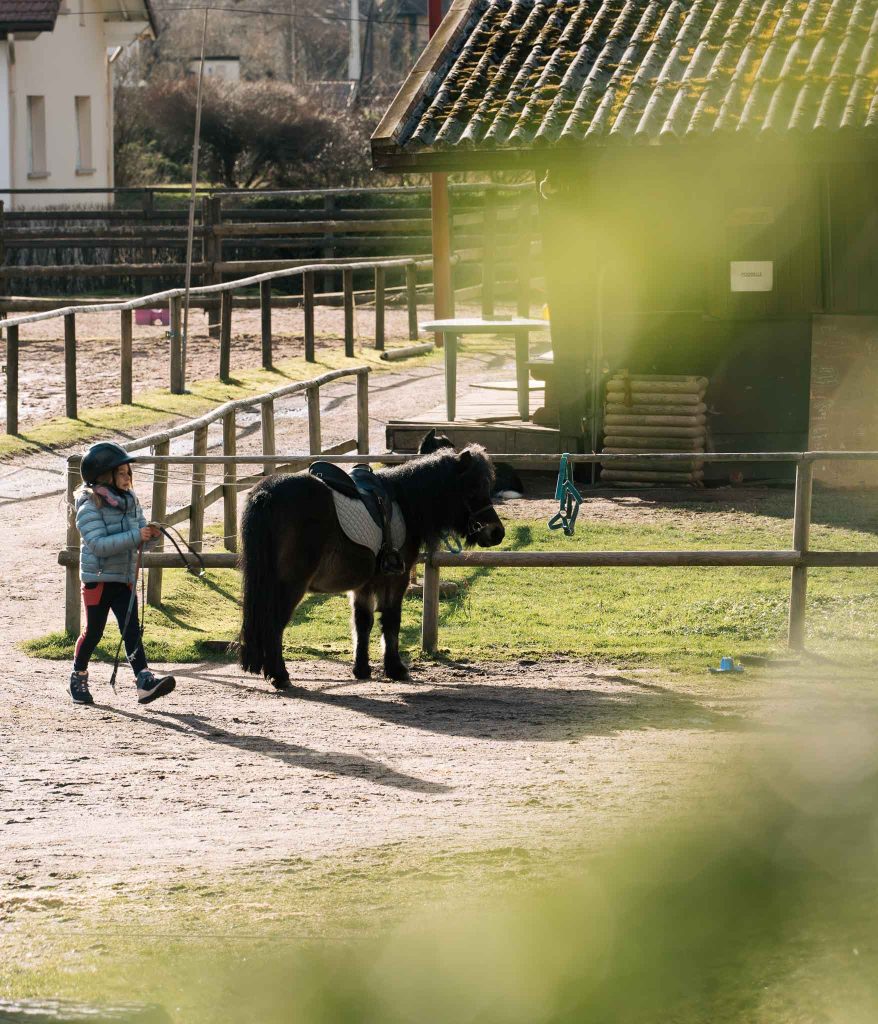 faire du poney vosges