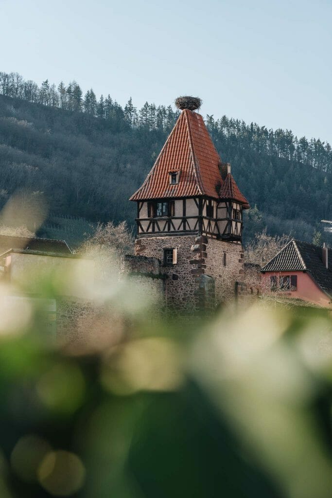 visiter alsace en 3 jours