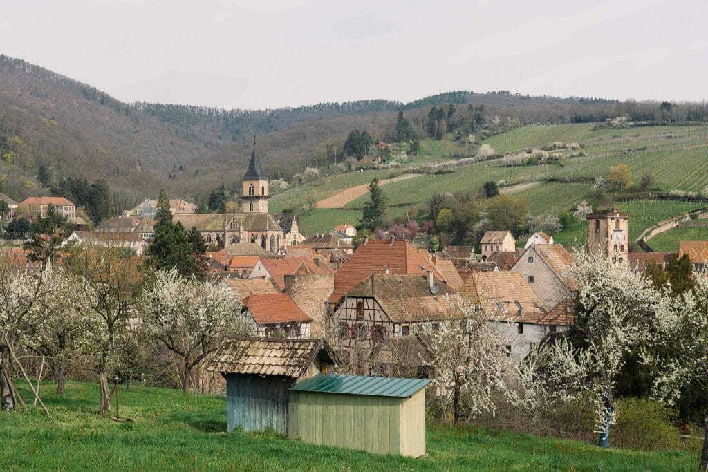 Ribeauvillé Alsace