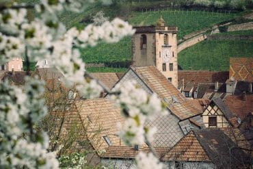 alsace ribeauvillé