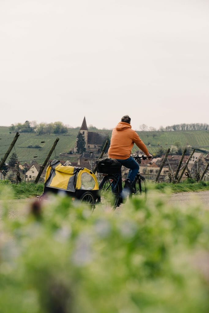 Hunawihr Alsace