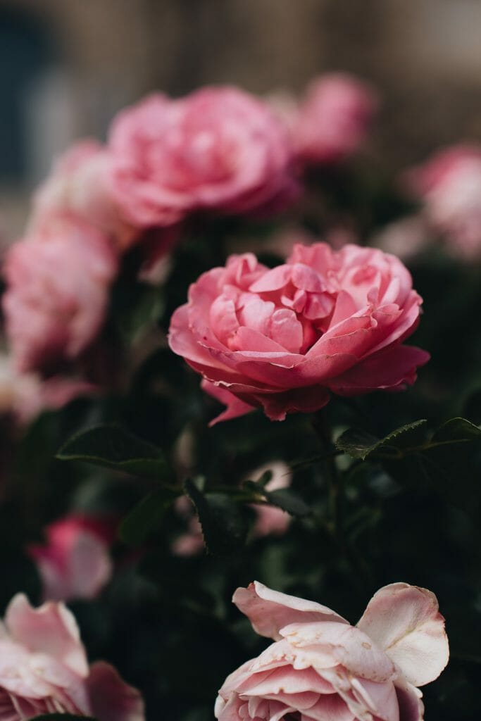 monastère de Poblet