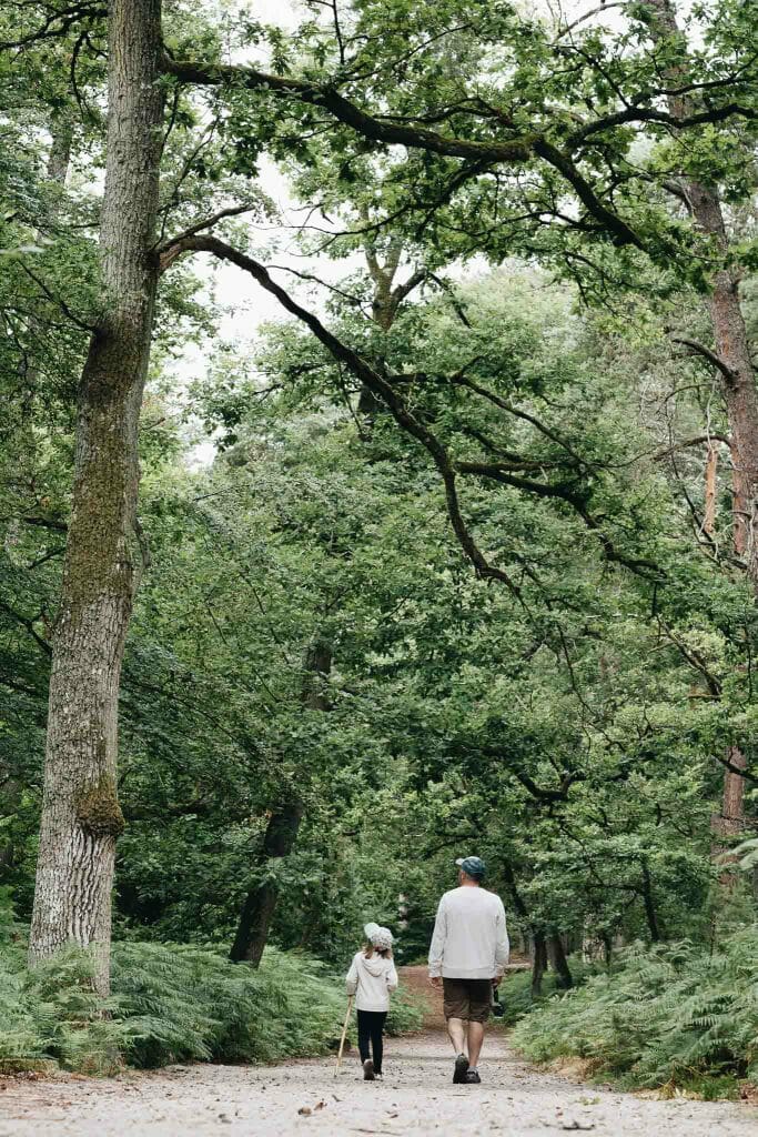 forêt de Fontainebleau
