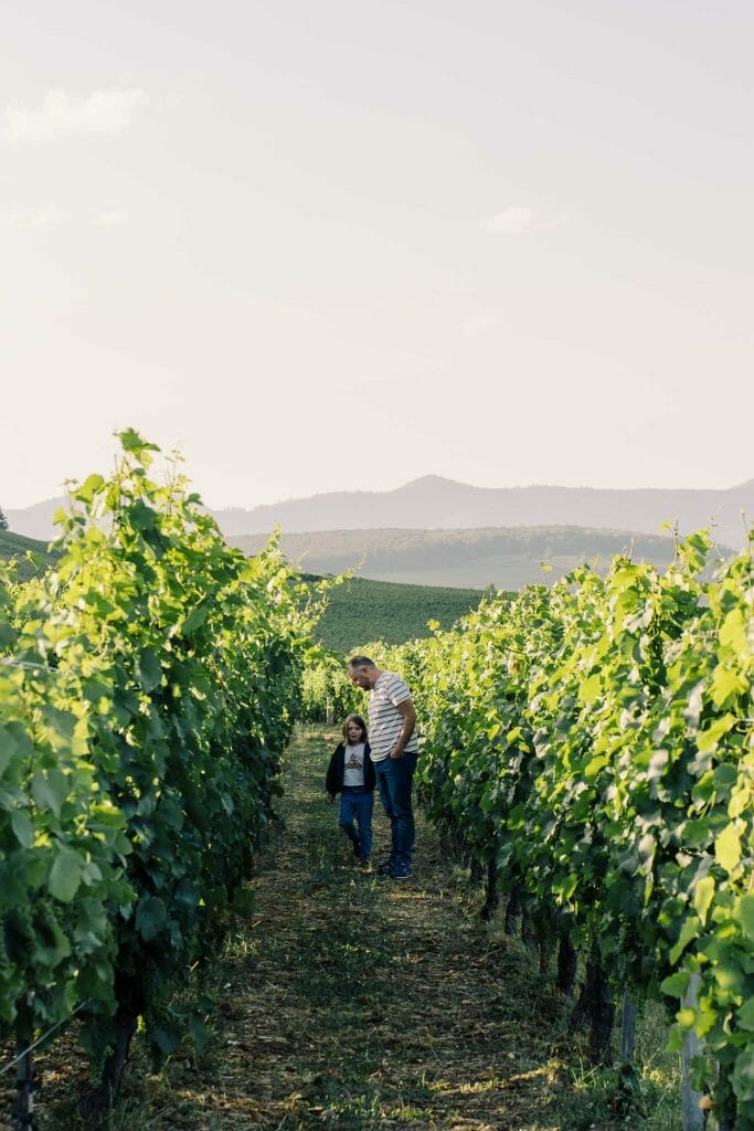 vignoble alsacien