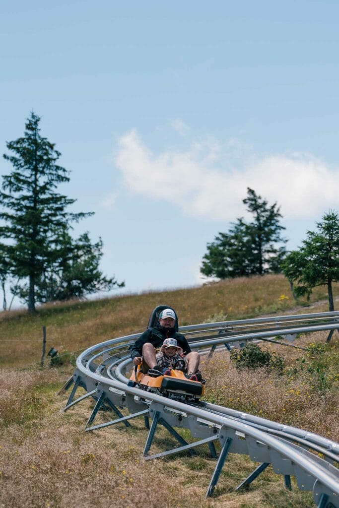 luge sur rail markstein