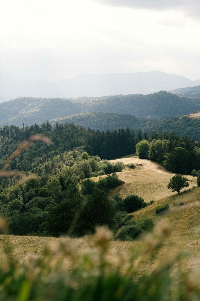 grand ballon d'alsace