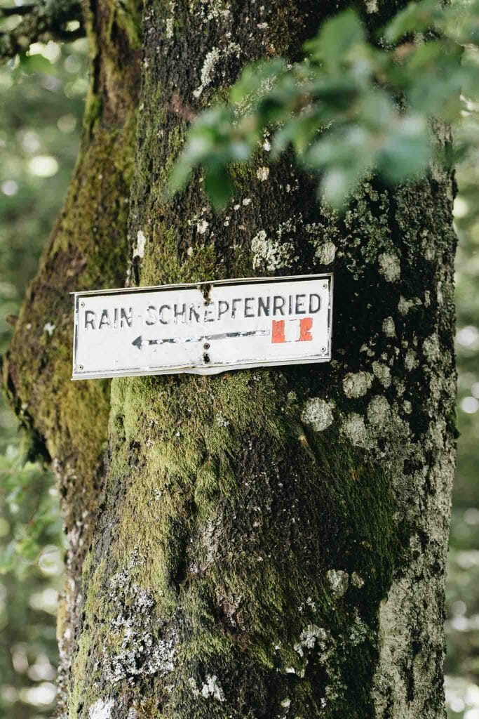 foret grand ballon alasace