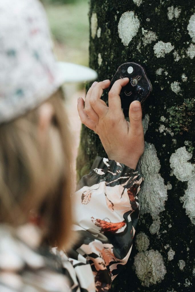 foret grand ballon d'alsace