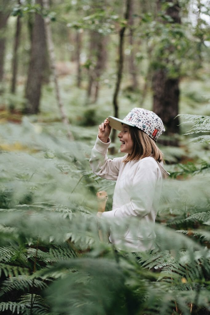 forêt de fontainebleau