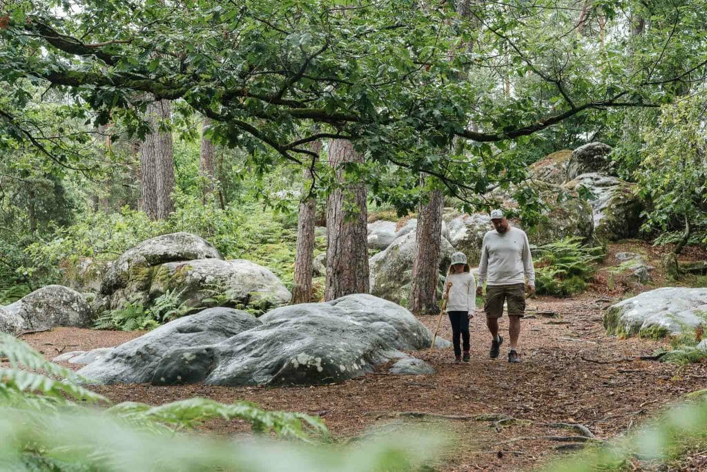 balade forêt de Fontainebleau