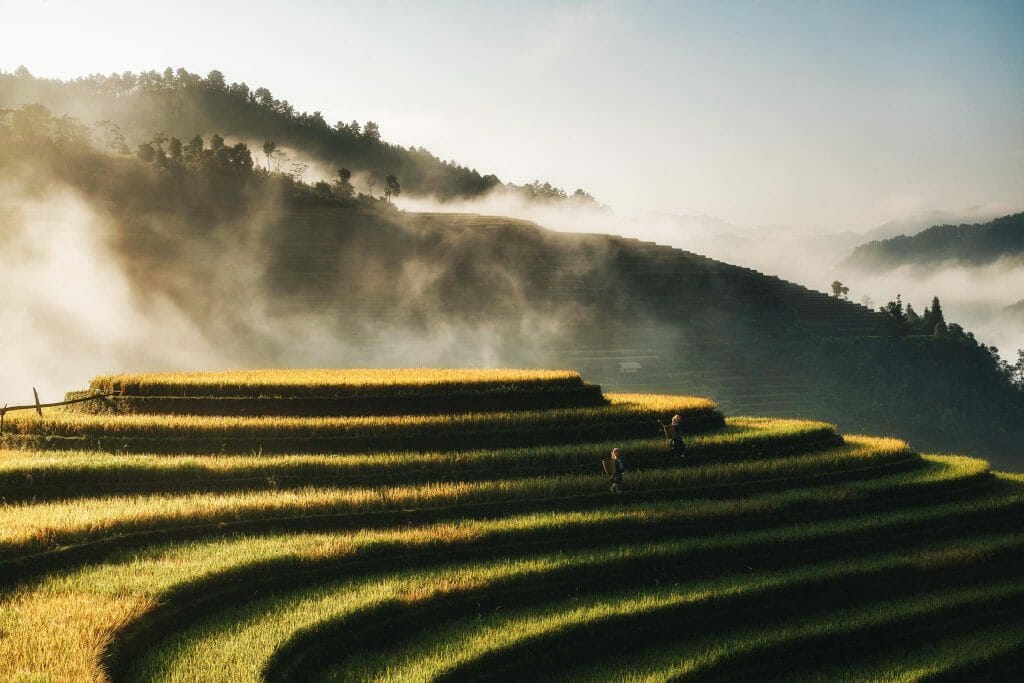 Thaïlande du nord rizières avec brumes