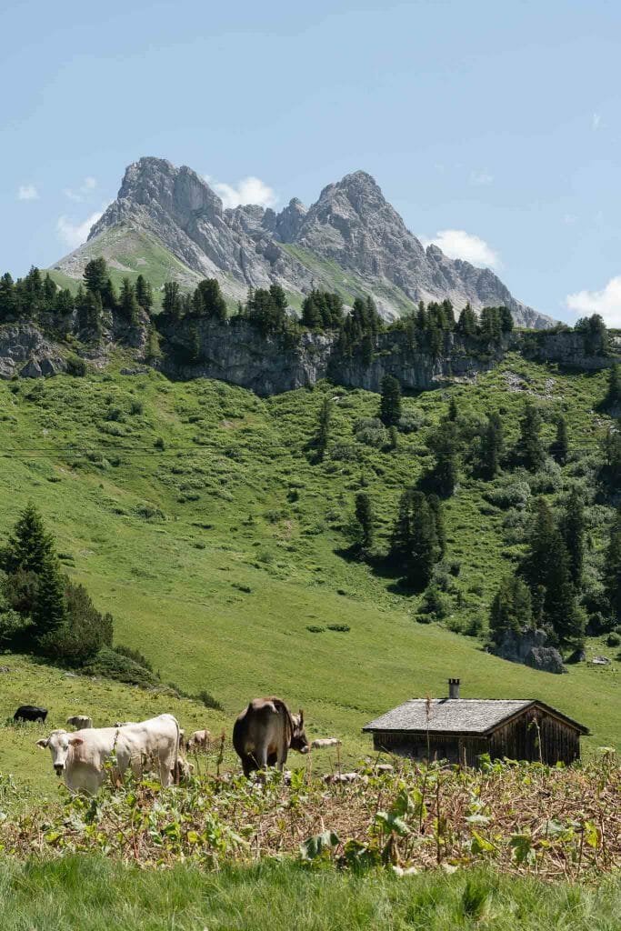 Visiter Autriche en été Vorarlberg