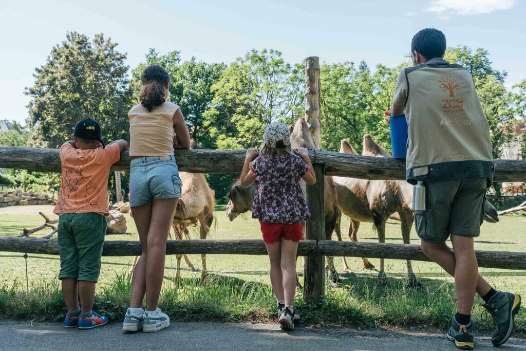 Zoo de Mulhouse