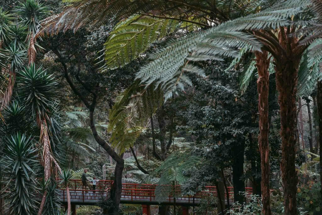 jardin tropical monte palace funchal