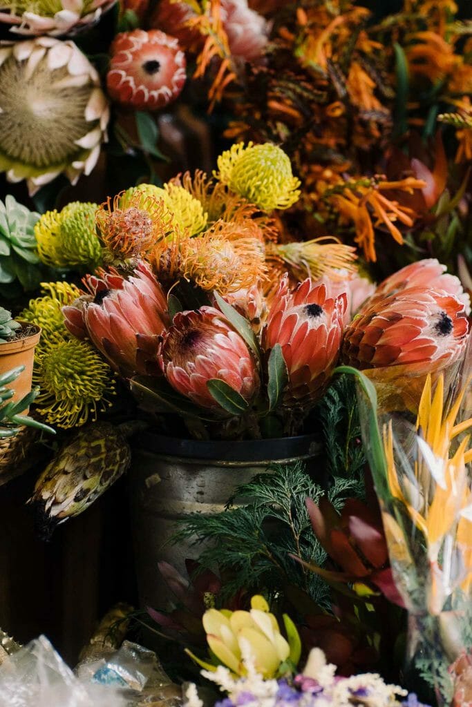 marché fleurs madère