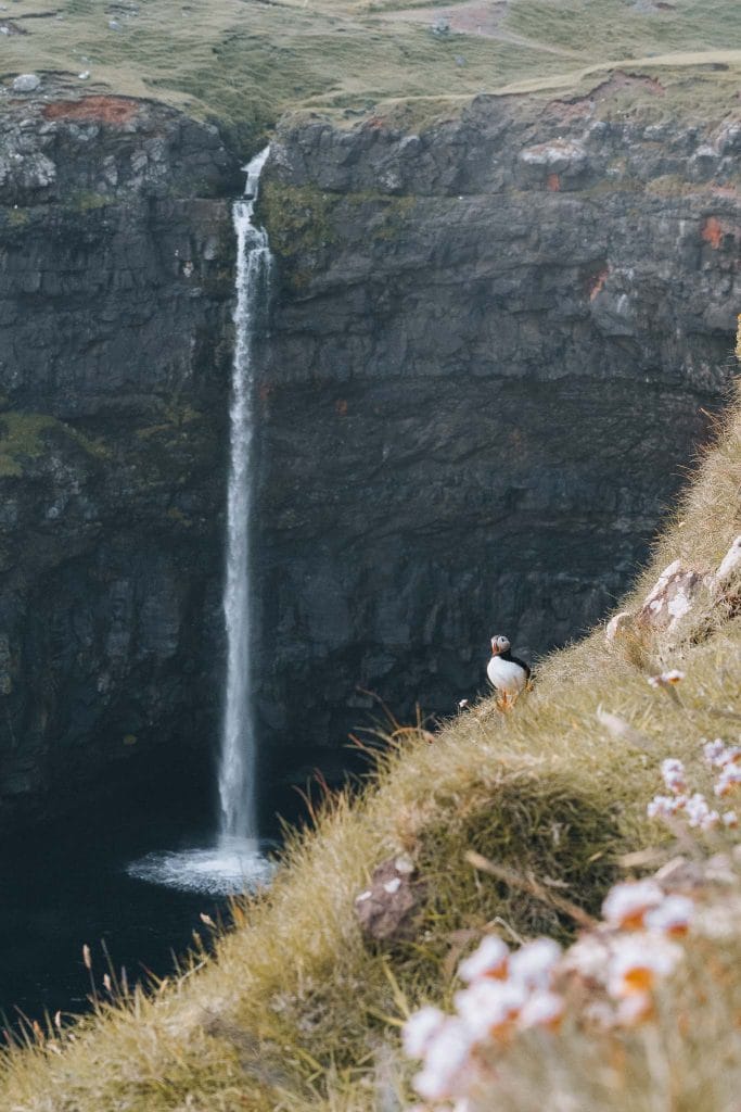 îles Féroé Danemark