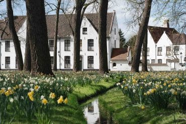 béguinage de Bruges avec ses parterres fleuris