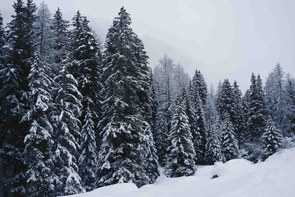 station de ski suisse Nendaz