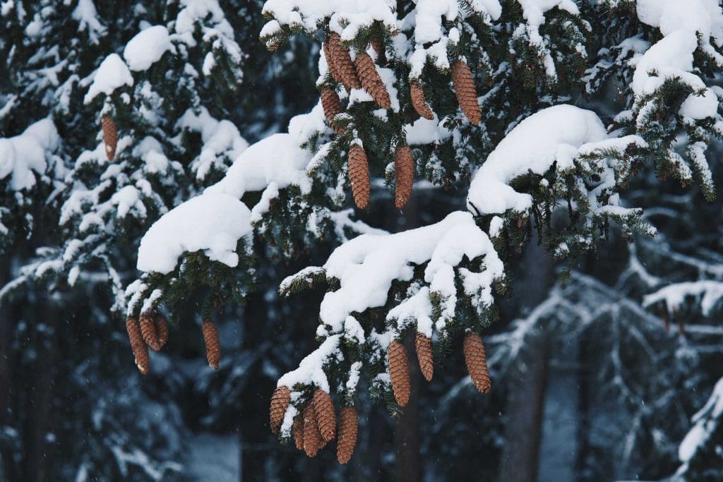 station de ski suisse Nendaz