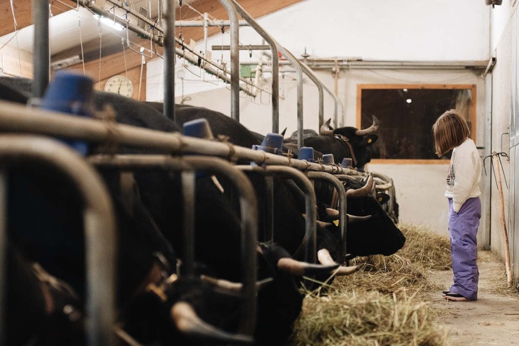 station de ski suisse Nendaz