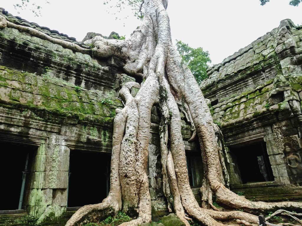 ANGKOR WAT CAMBODGE
