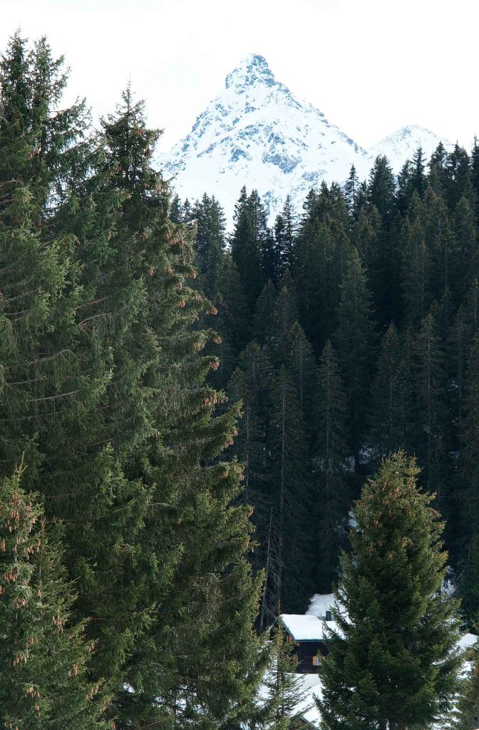 Bregenzerwald Autriche en hiver