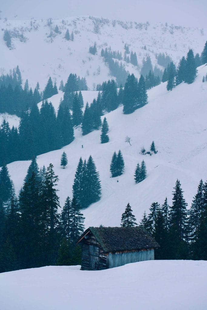 Bregenzerwald Autriche en hiver