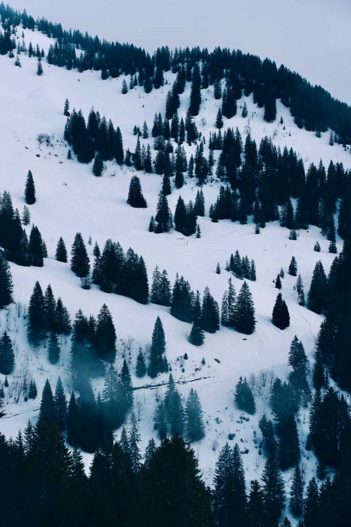Bregenzerwald Autriche en hiver