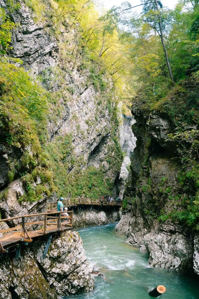 Gorges de Tolmin en Slovénie