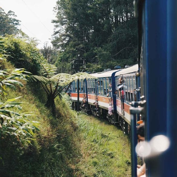 Sri Lanka train Ella