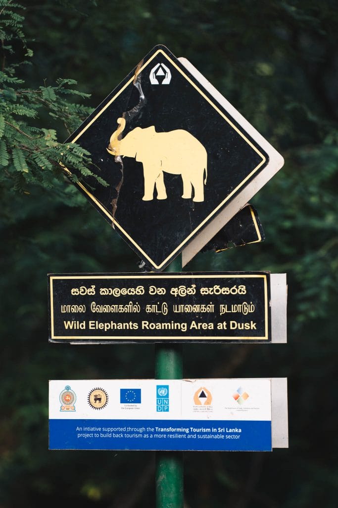 Animaux sauvages panneaux