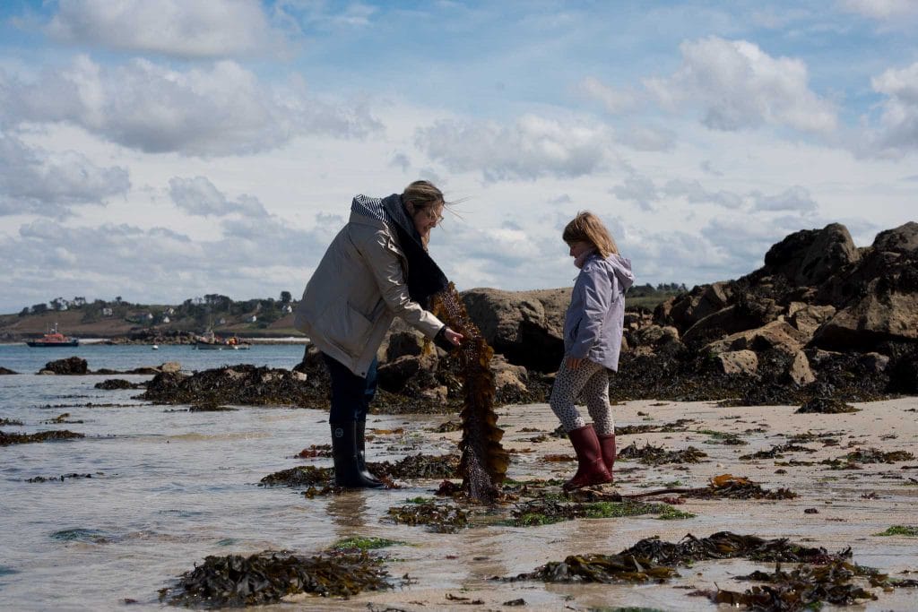 Découverte des algues marines