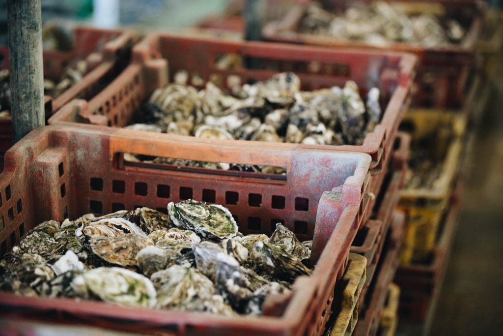 ferme marine de Cancale