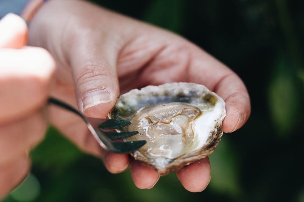 ferme marine de Cancale