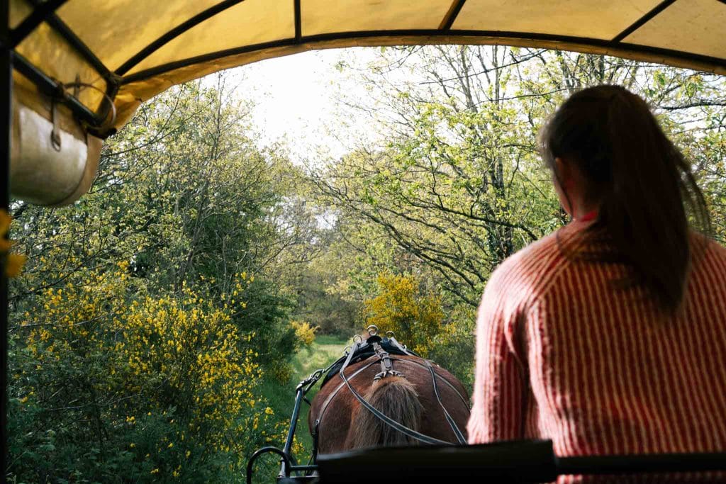 Forêt de Brocéliande balade contée