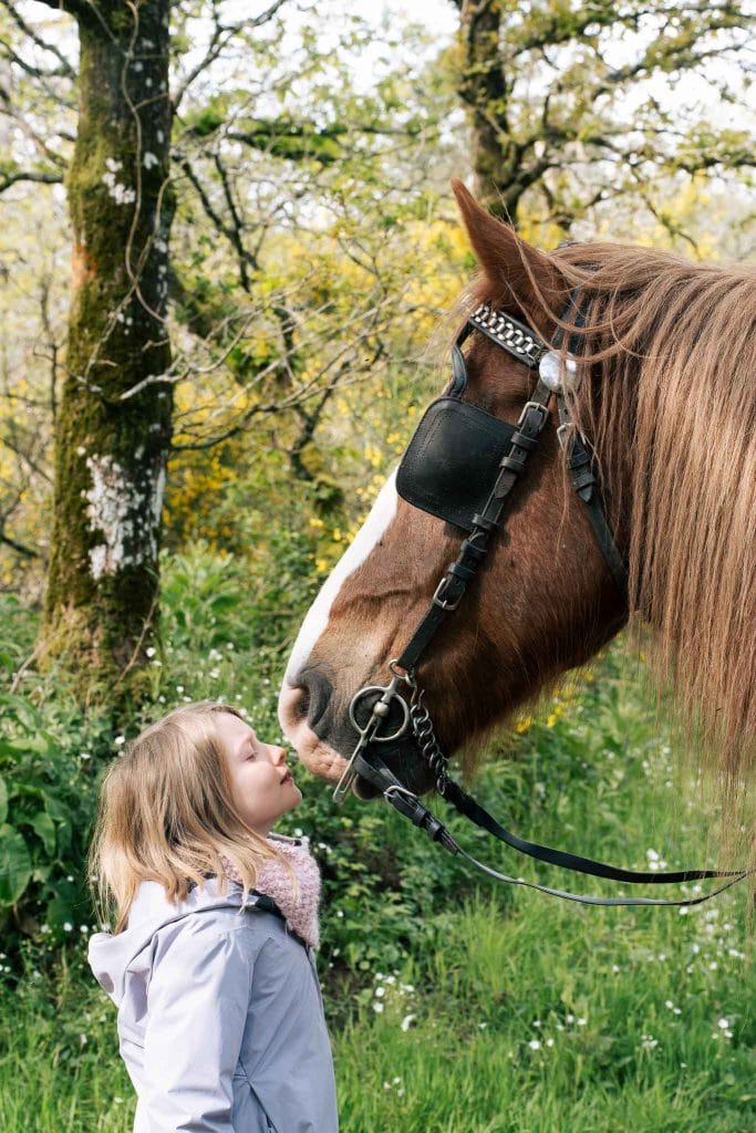 Forêt de Brocéliande balade contée