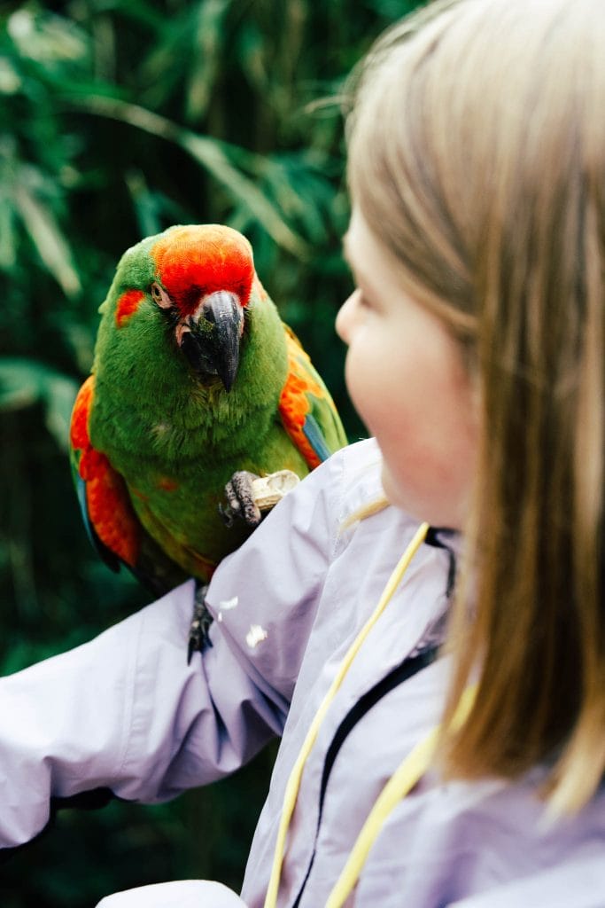 Pays de vire zoo de Jurques