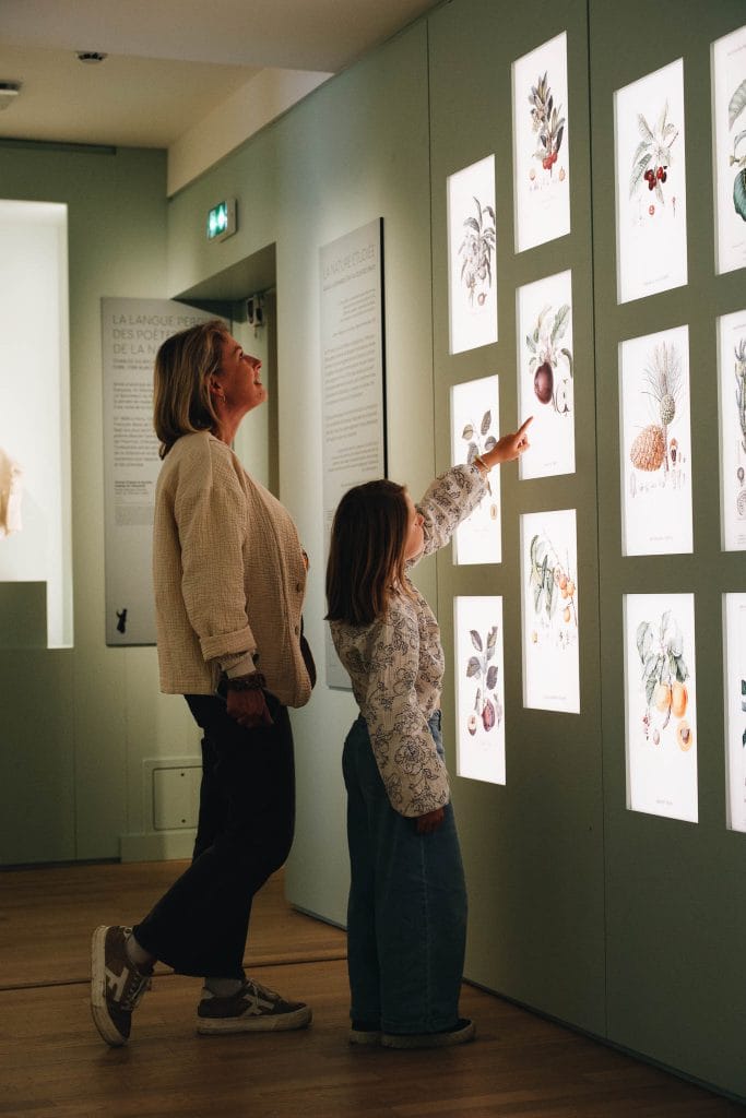 Musée de vire Normandie
