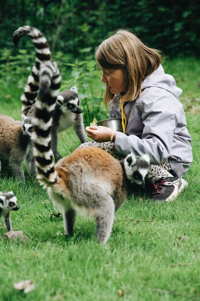 Zoo de Jurques Pays de vire