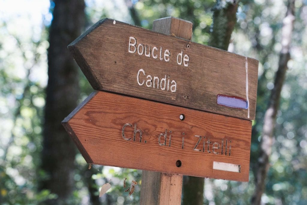 Forêt de Bonifatu
