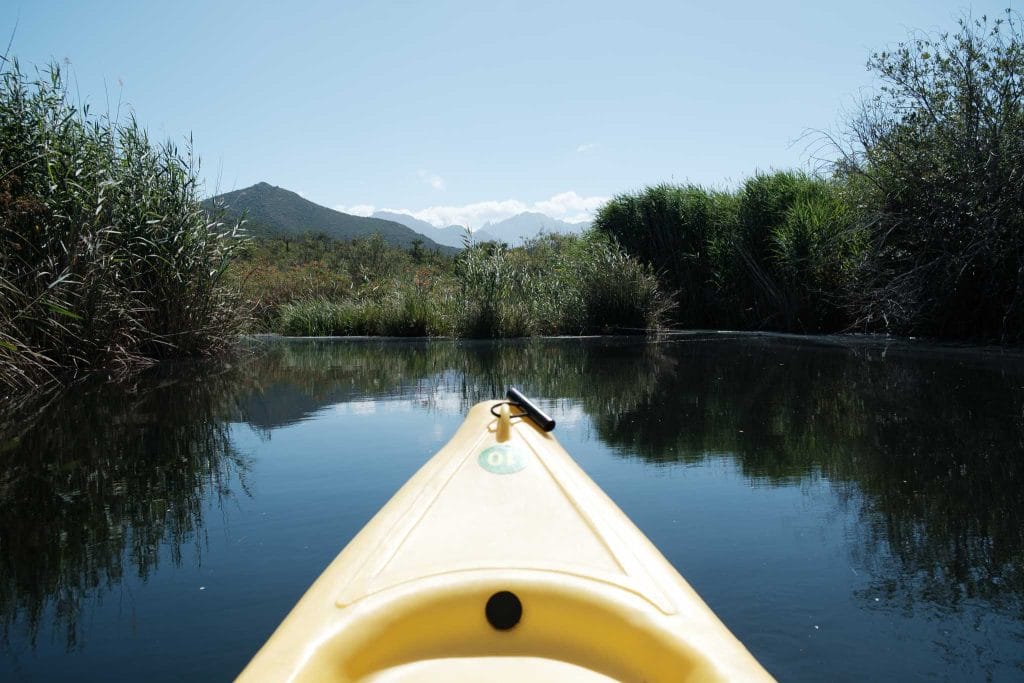 Delta du Fango kayak