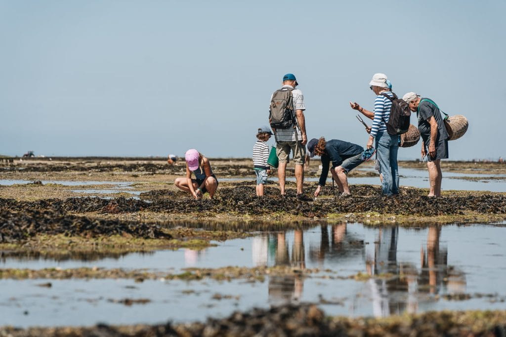 pêche à la palourde