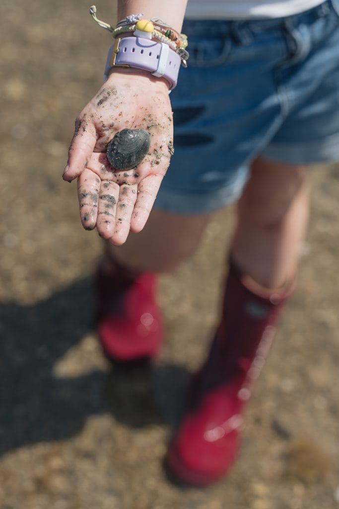 pêche à la palourde