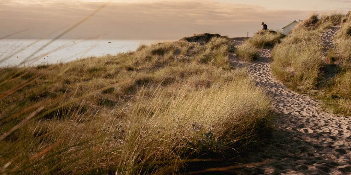 Dunes de gouville sur Mer