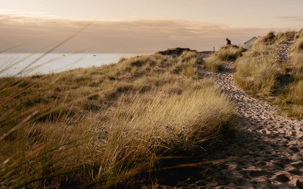 Dunes de gouville sur Mer