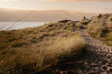Dunes de gouville sur Mer
