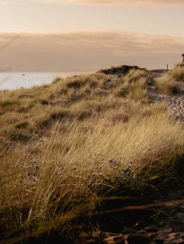 Dunes de gouville sur Mer