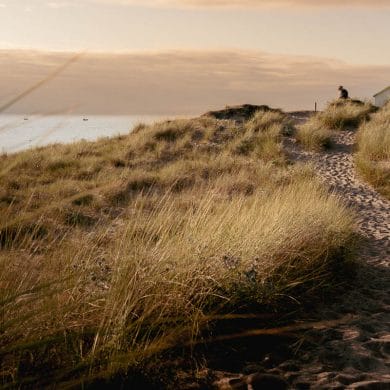 Dunes de gouville sur Mer