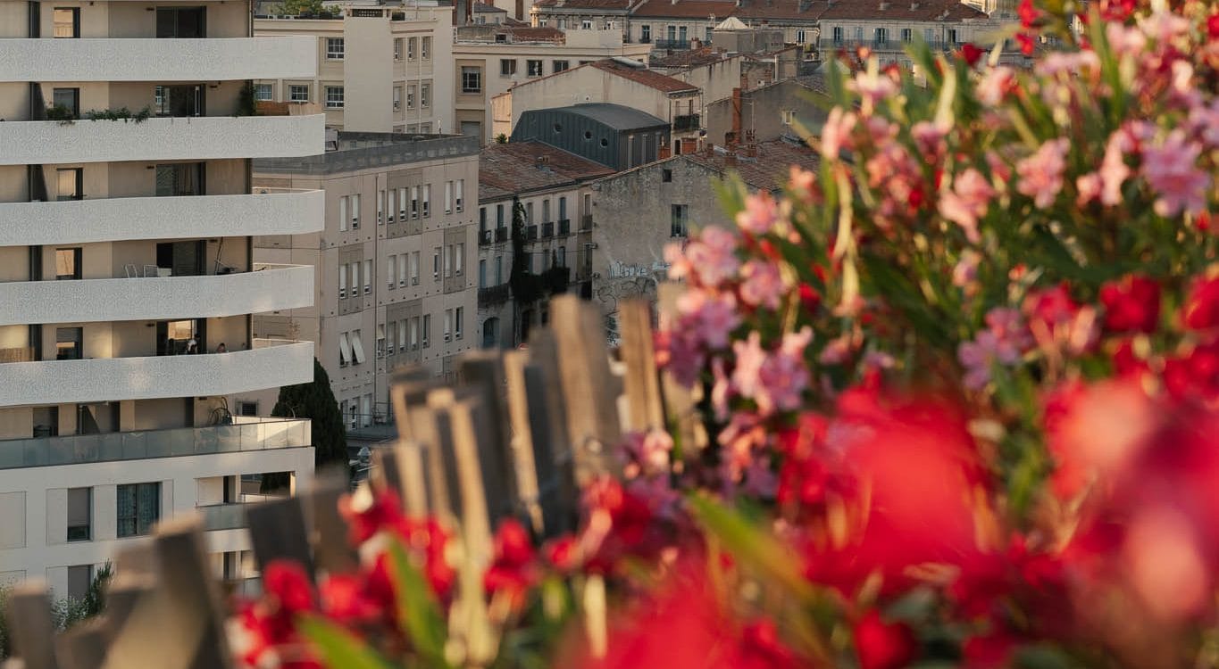 Rooftop Montpellier