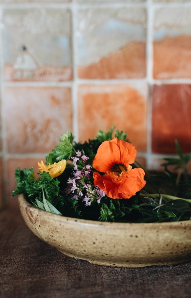 herbes aromatiques
